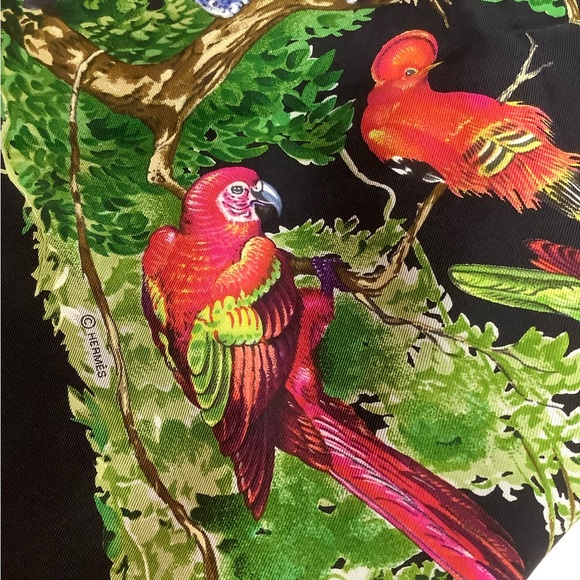 Hermes Equateur Large Scarf NWT - Picture 12 of 13